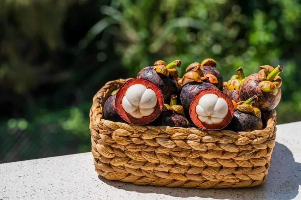 Phụ nữ sau sinh có nên ăn măng cụt